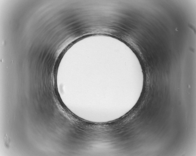 X0000101480936200808041125