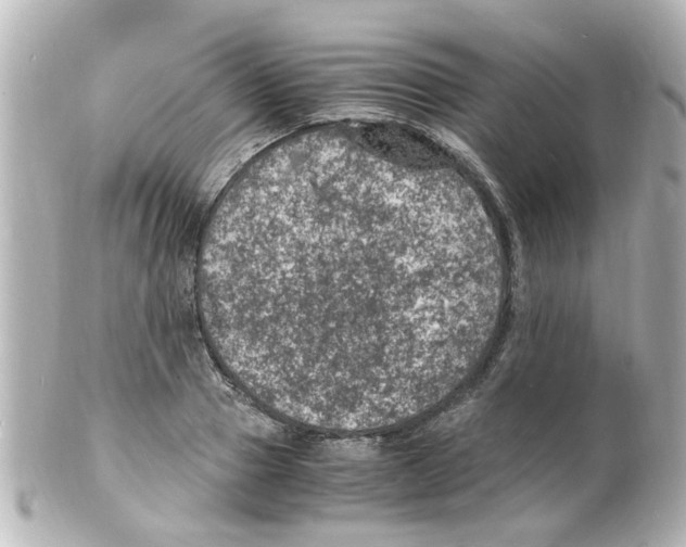 X0000101480937200808041125