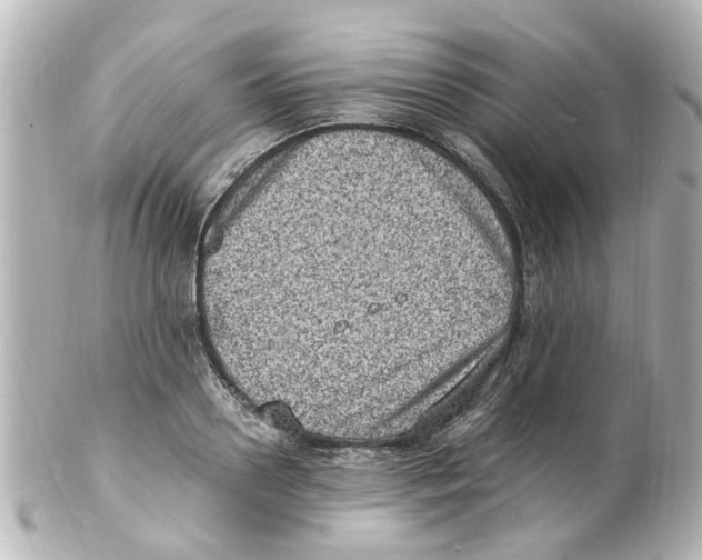 X0000101480938200808041125