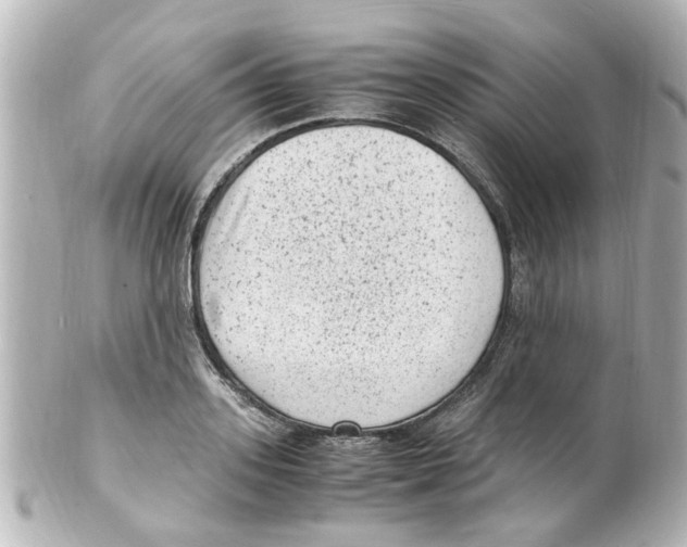 X0000101480939200808041125