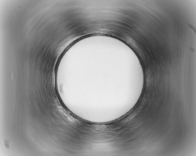 X0000101480940200808041125