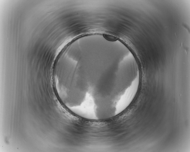 X0000101480941200808041125