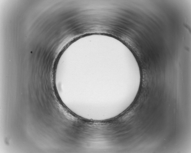 X0000101480942200808041125