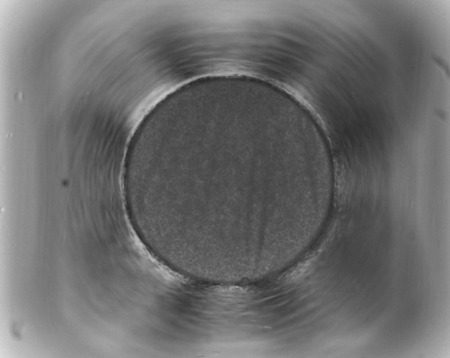 X0000101480943200808041125