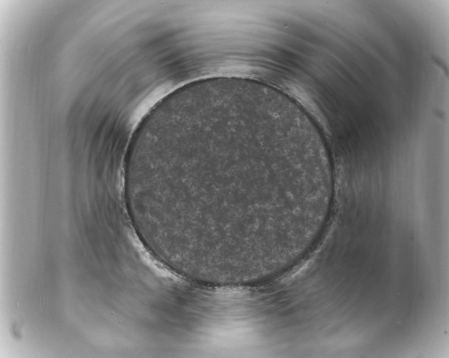 X0000101480944200808041125