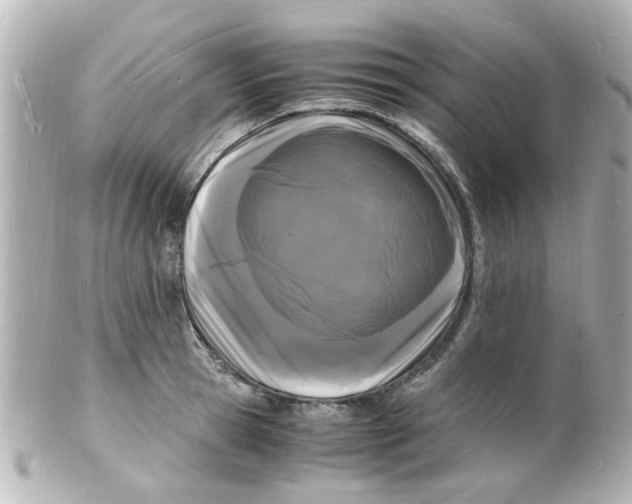 X0000101480945200808041125