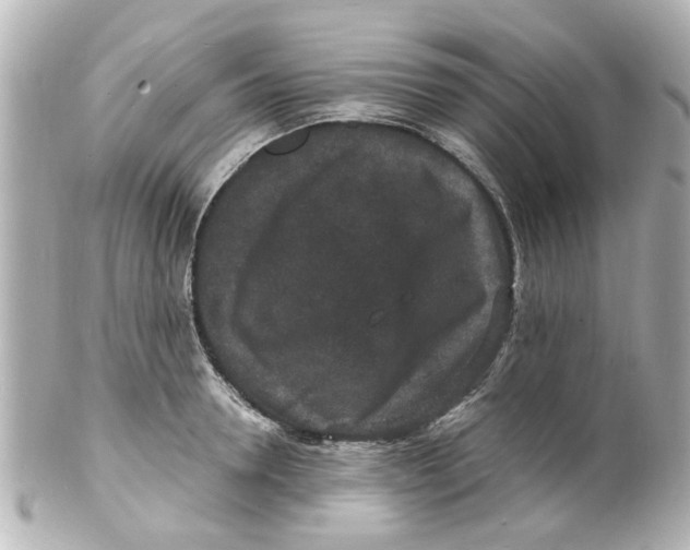 X0000101480946200808041125