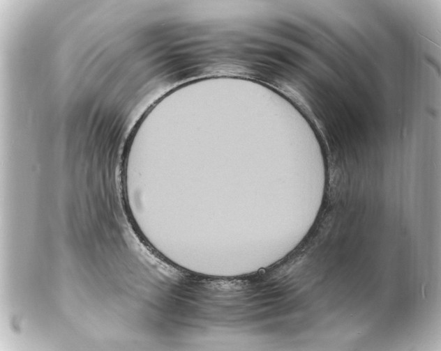 X0000101480947200808041125