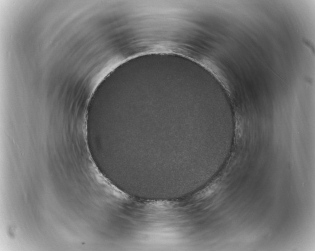 X0000101480950200808041125