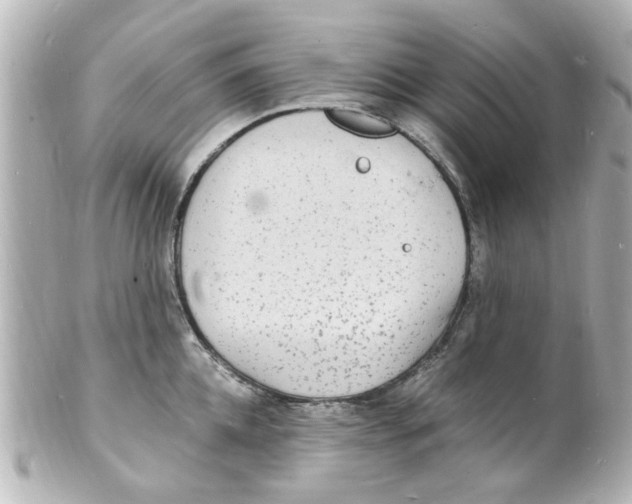 X0000101480952200808041125