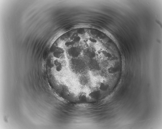 X0000101480953200808041125