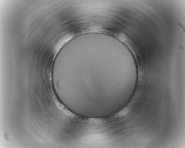 X0000101480954200808041125