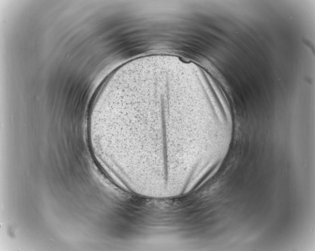 X0000101480955200808041125