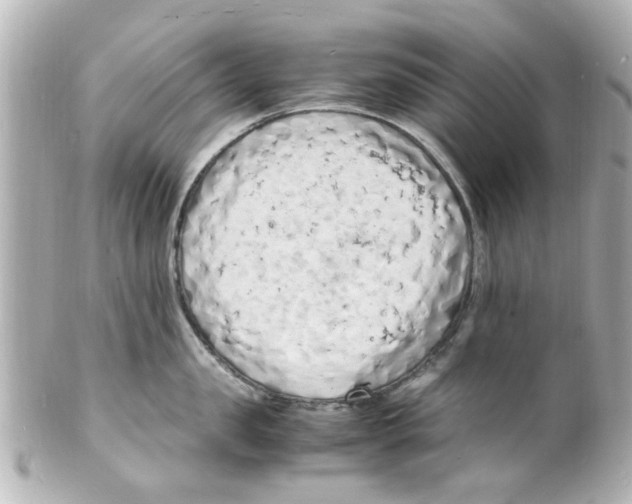 X0000101480957200808041125