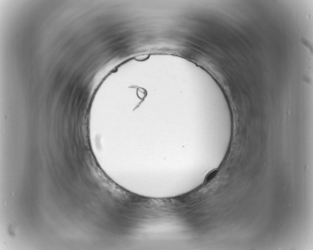 X0000101480960200808041125