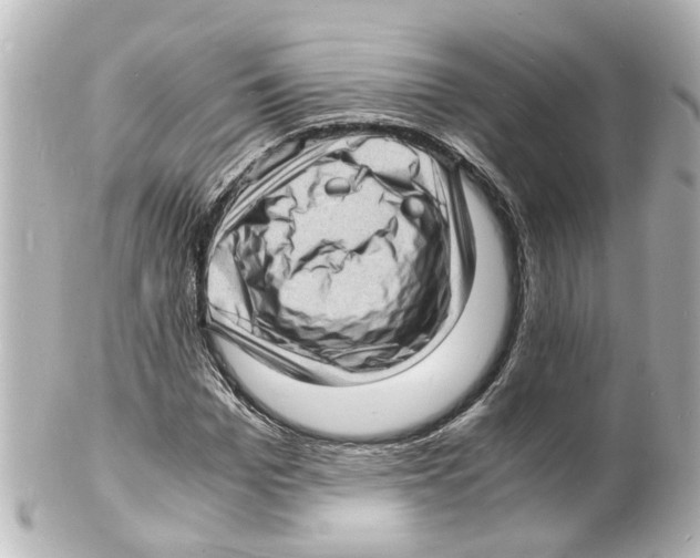 X0000101480969200808041125