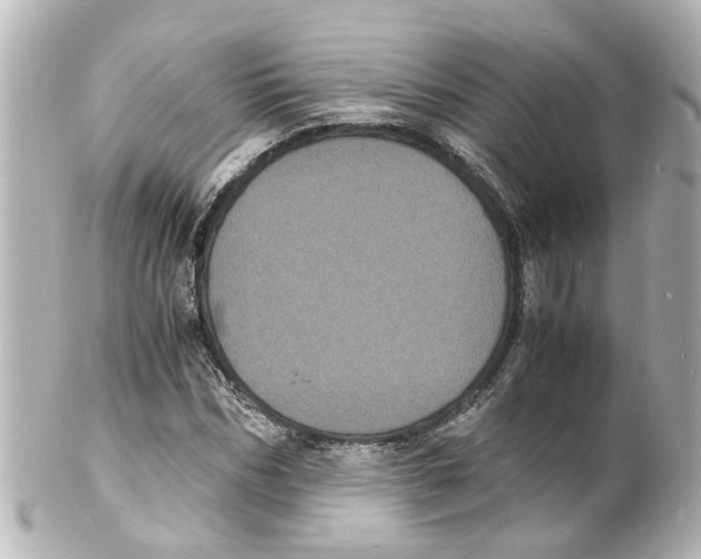 X0000101480970200808041125