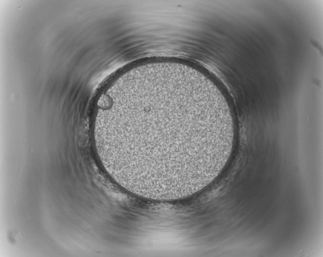 X0000101480971200808041124