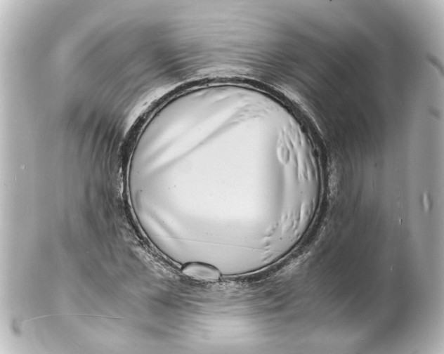 X0000101480973200808041124