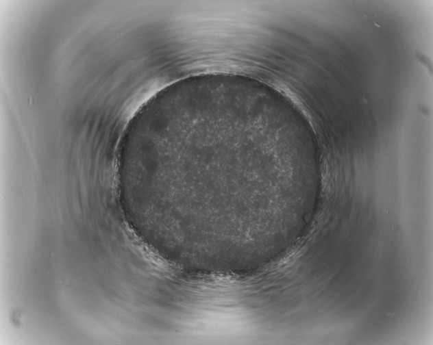 X0000101480975200808041124