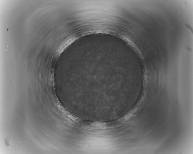 X0000101480977200808041124