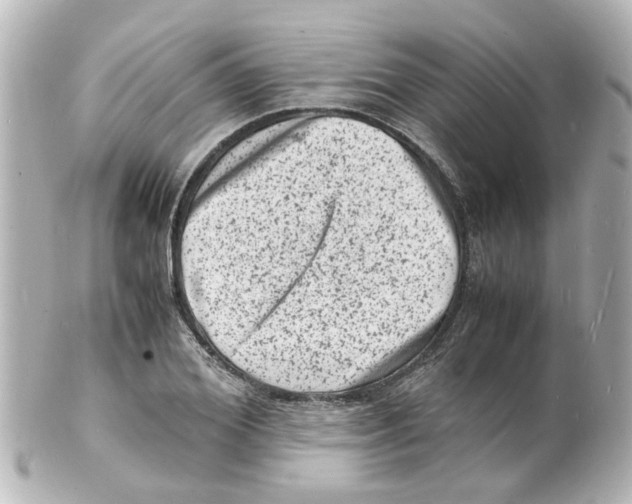 X0000101480980200808041124