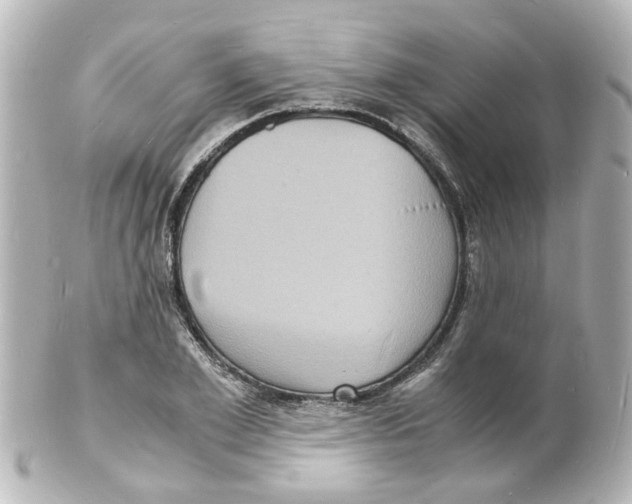 X0000101480981200808041124