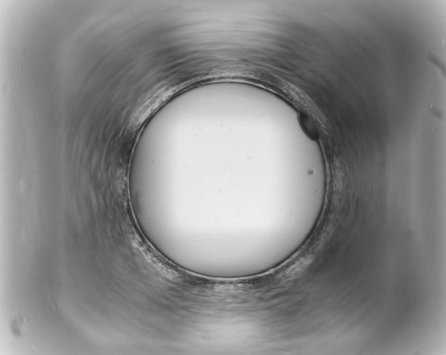 X0000101480985200808041124