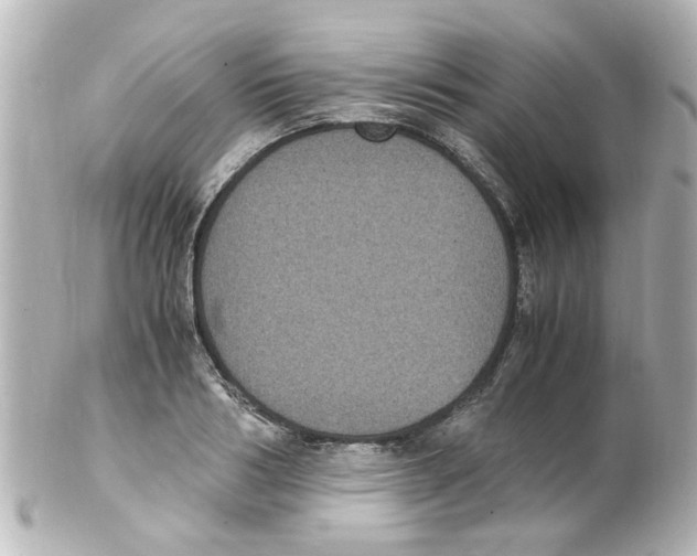 X0000101480986200808041124