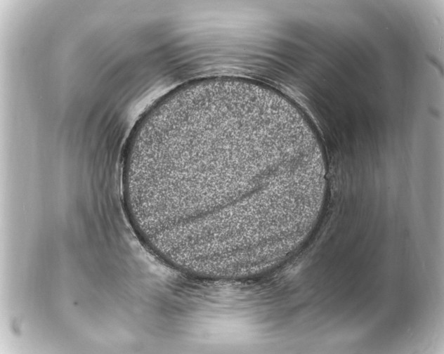 X0000101480987200808041124