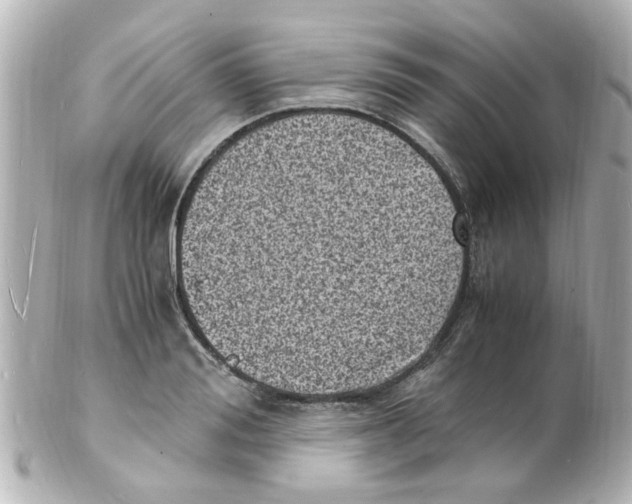 X0000101480988200808041124