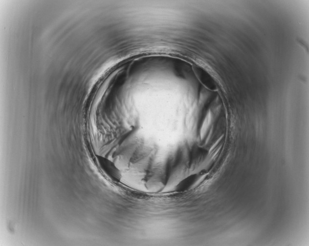 X0000101480989200808041124