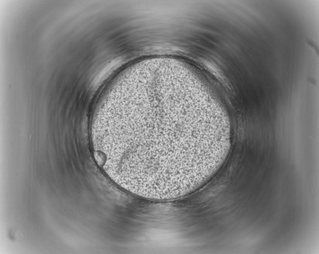 X0000101480990200808041124