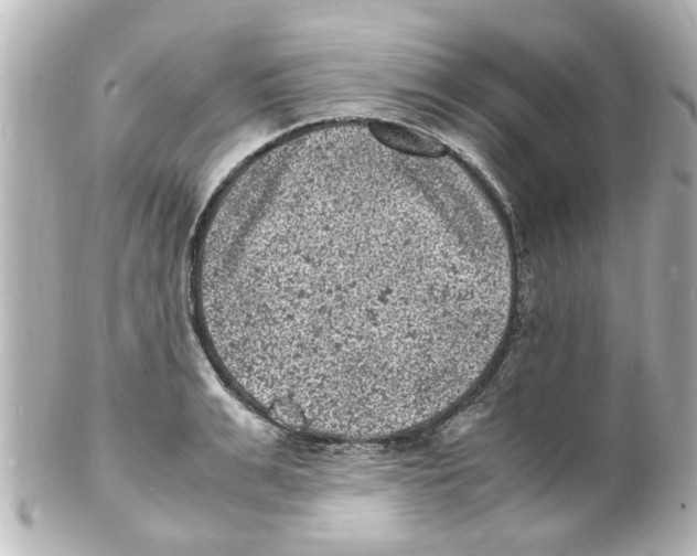 X0000101480991200808041124