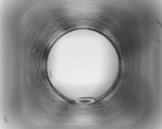 X0000101480993200808041124