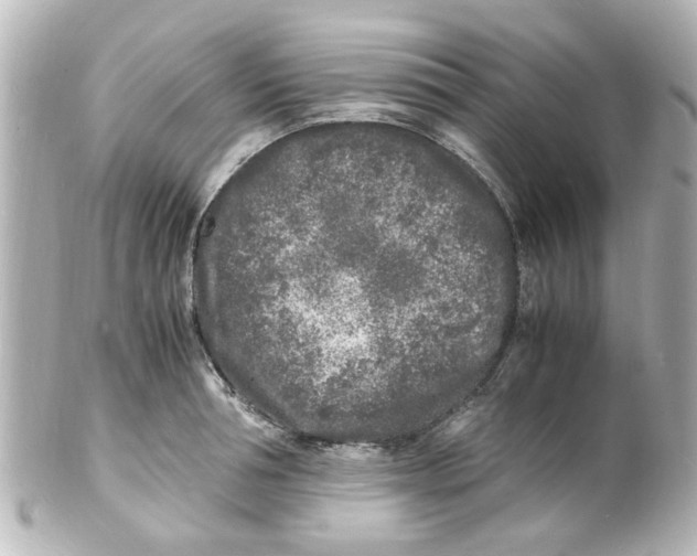 X0000101480994200808041124