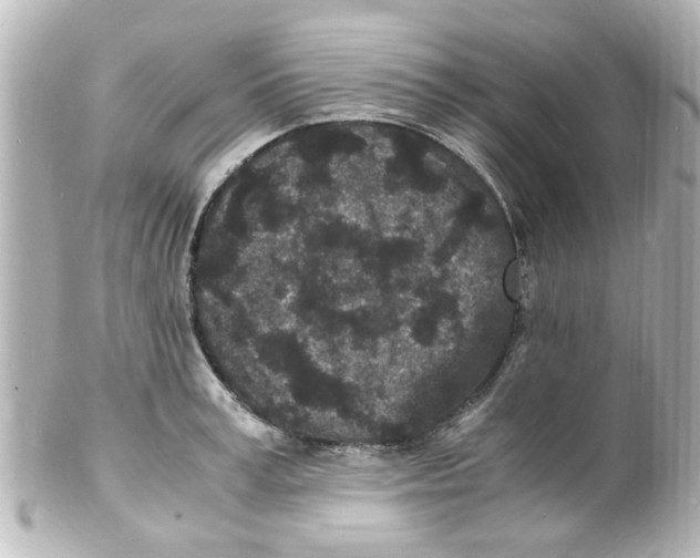 X0000101480995200808041124