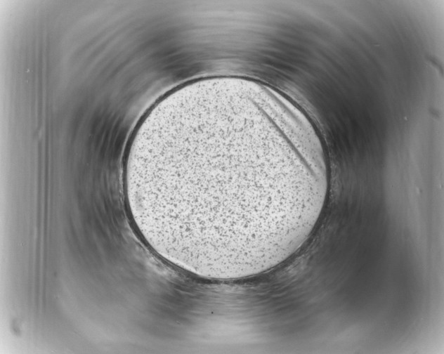 X0000101480996200808041124