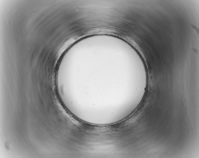 X0000101480997200808041124