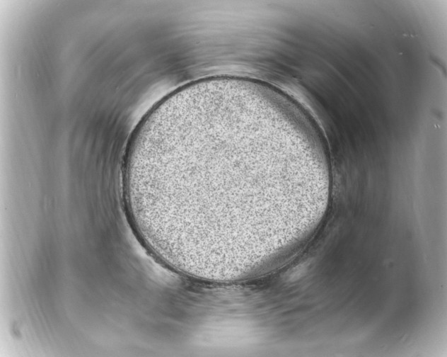 X0000101480999200808041124