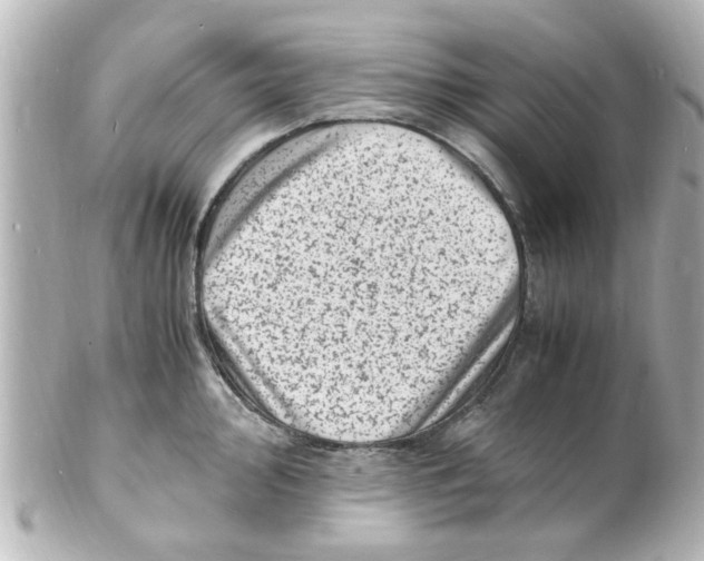 X0000101481000200808041124