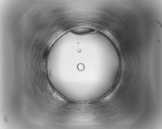 X0000101481001200808041124