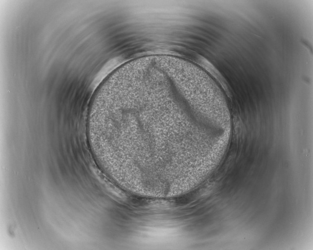 X0000101481002200808041124