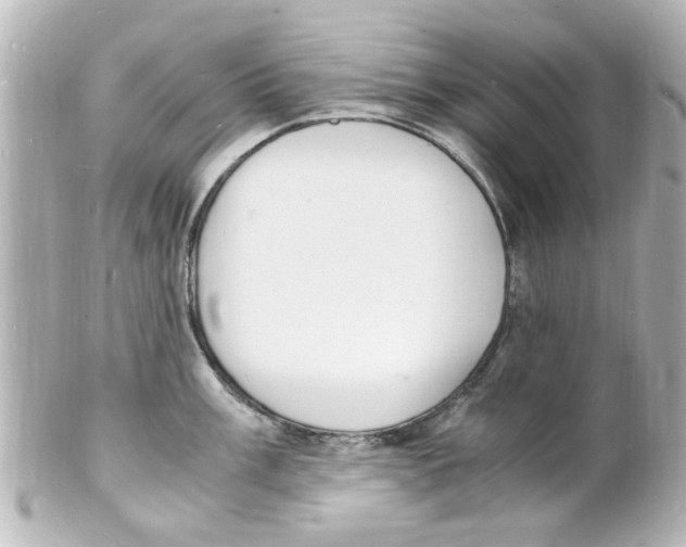 X0000101481003200808041124