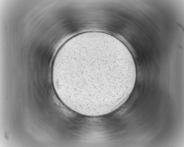 X0000101481004200808041124