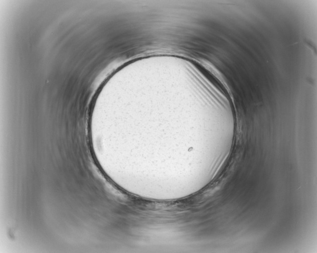 X0000101481005200808041124