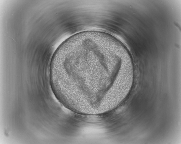 X0000101481007200808041124