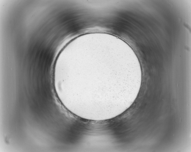 X0000101481008200808041124