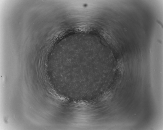 X0000101481009200808041123