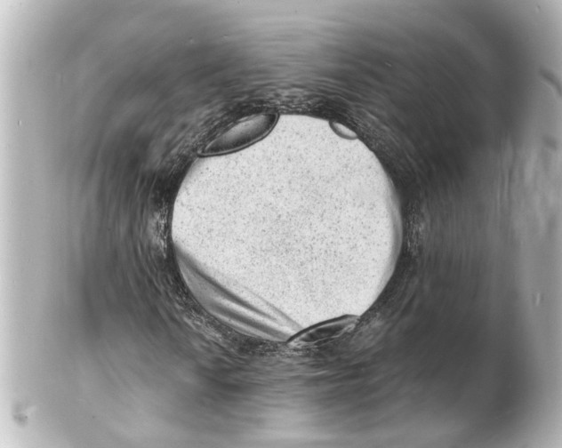 X0000101481010200808041123